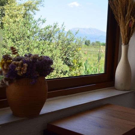 Rustic Tale Guesthouse エクステリア 写真