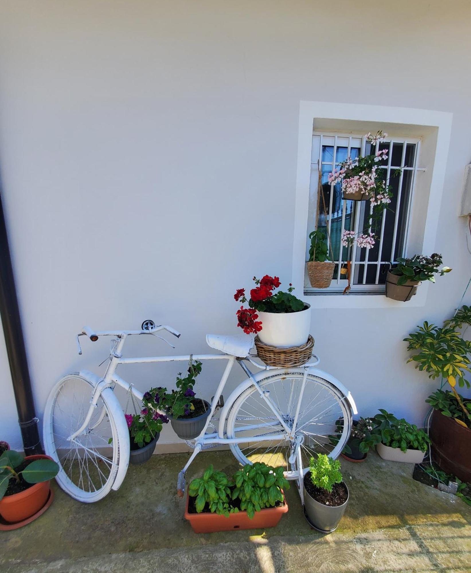 Rustic Tale Guesthouse エクステリア 写真