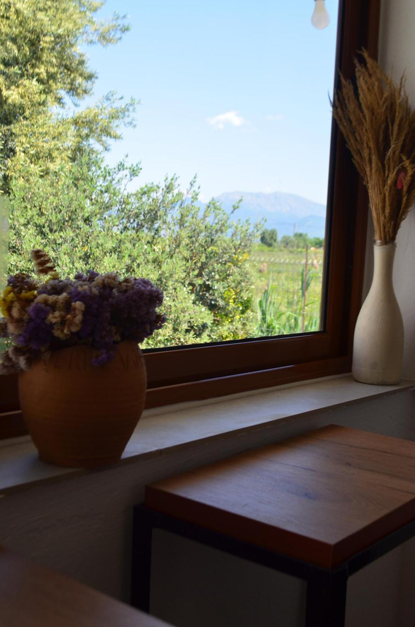 Rustic Tale Guesthouse エクステリア 写真