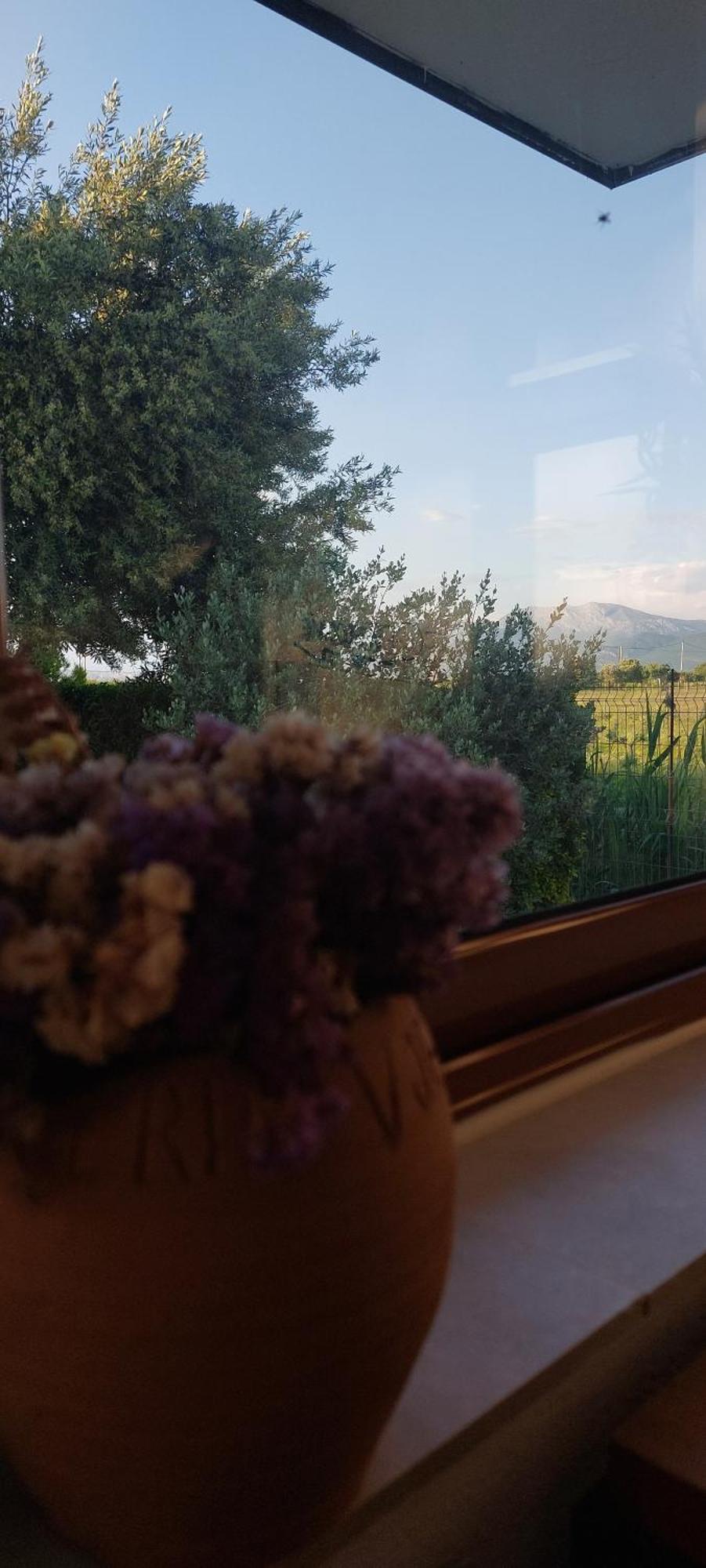 Rustic Tale Guesthouse エクステリア 写真